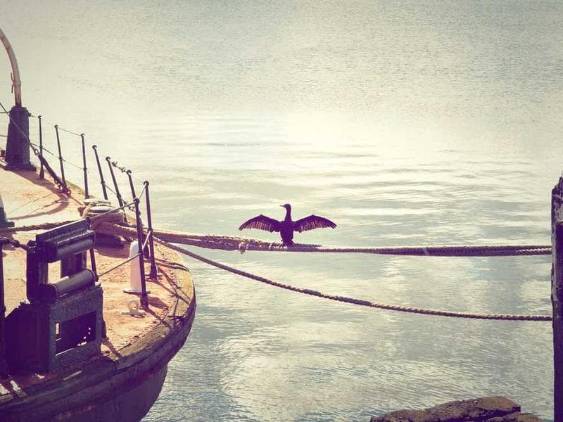 B2B SaaS Onboarding